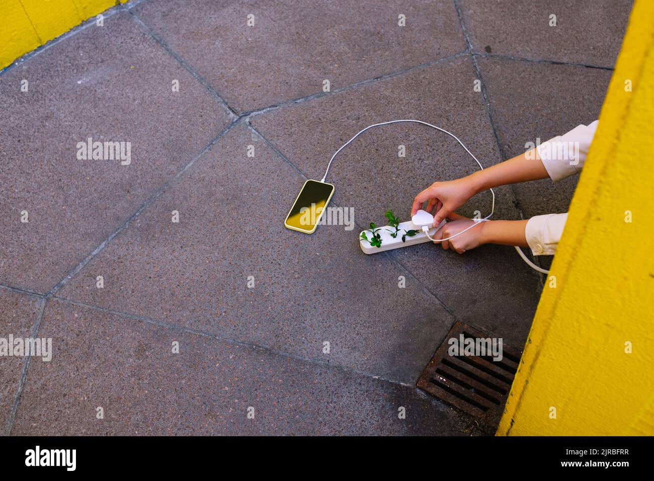 Hände einer jungen Frau, die das Handy mit einer Steckdose und Pflanzen auf dem Boden lädt Stockfoto
