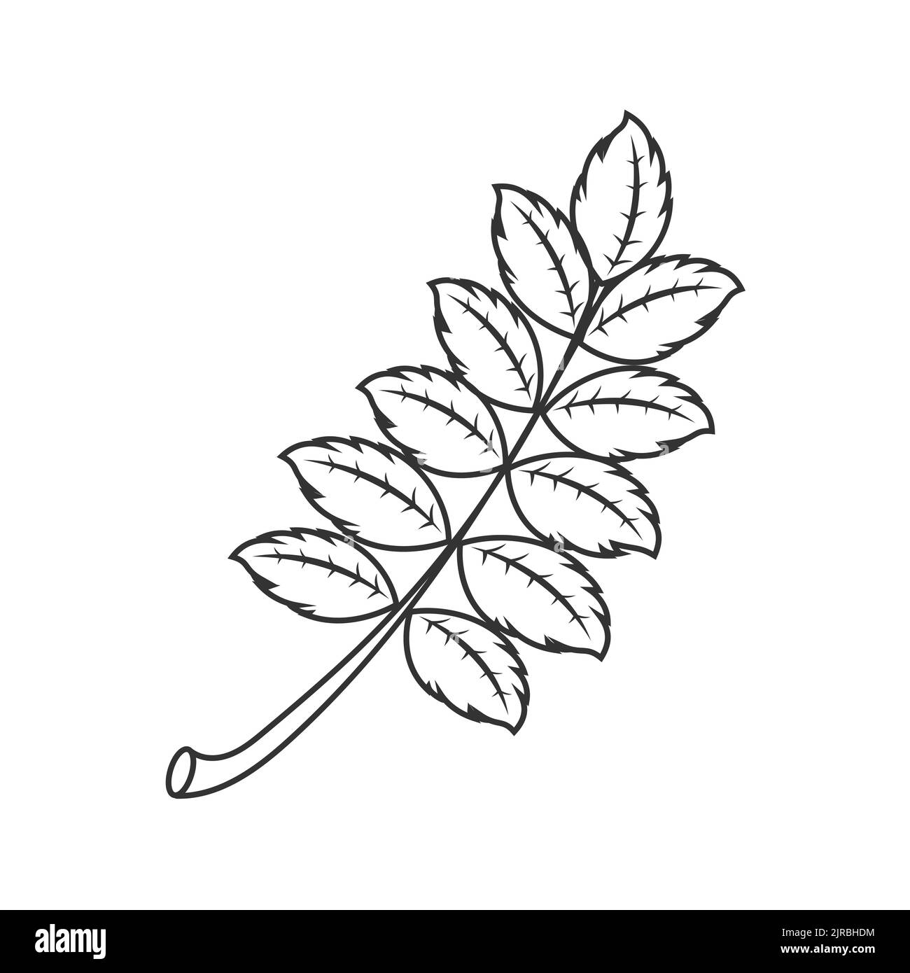 Vektor-Illustration eines Zweiges mit Blättern im russischen Stil. Ein Designelement. Nachahmung der russischen Malerei. Stock Vektor