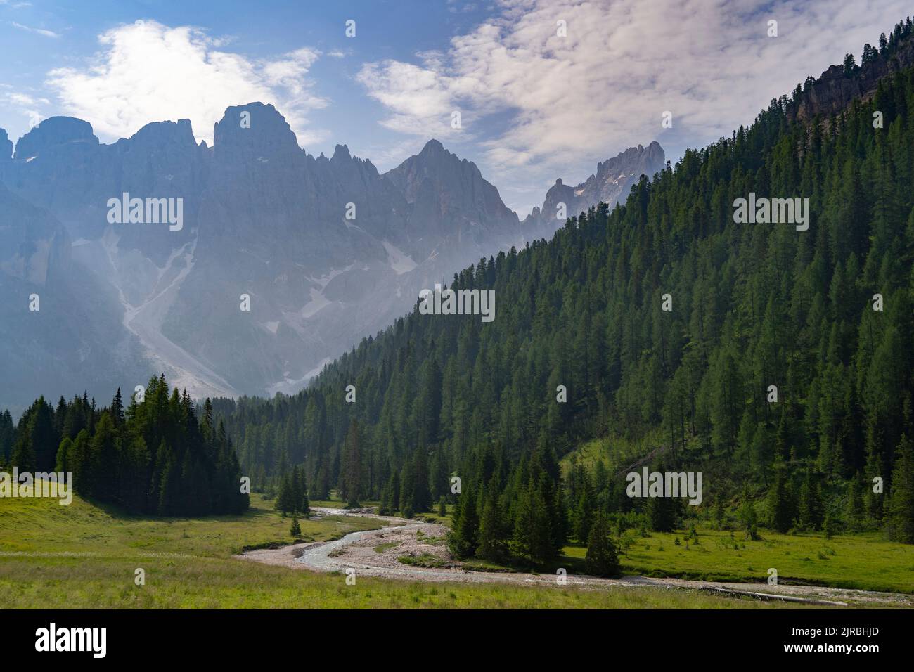 Landschaftlich reizvolle Landschaft mit Bäumen und Bergkette im Park Pale di San Martino, Trentino, Italien Stockfoto
