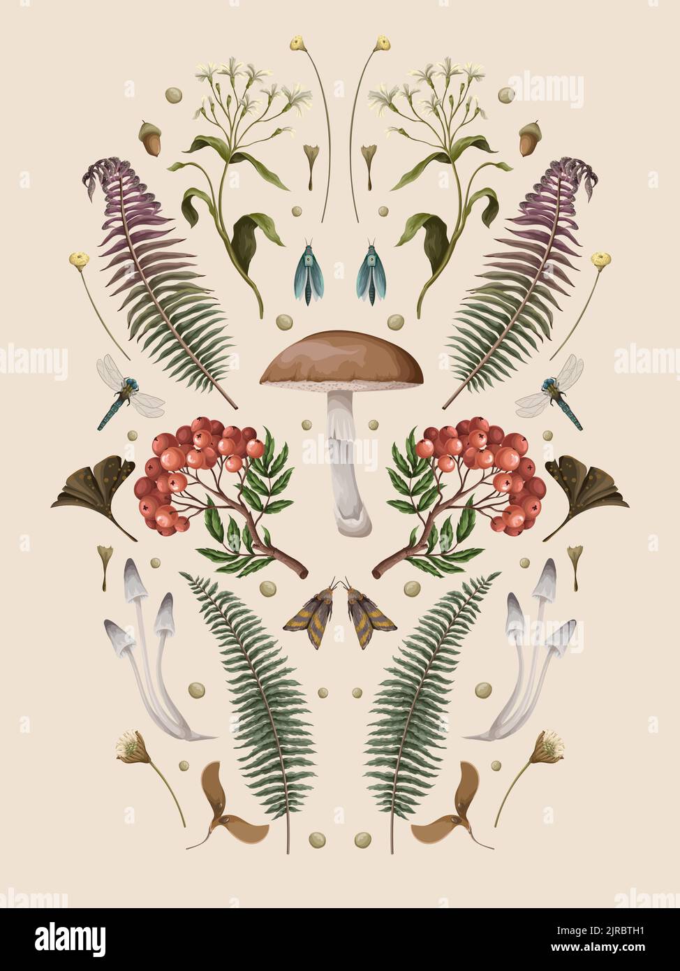 Herbstkomposition mit Pilzen, Beeren und Pflanzen. Botanischer Vektor Stock Vektor