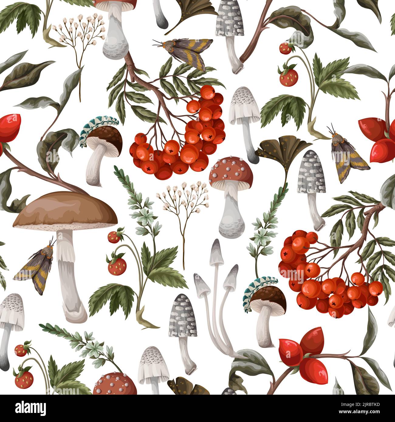 Herbst nahtloses Muster mit Pilzen, Beeren und Pflanzen. Botanischer Vektor. Stock Vektor