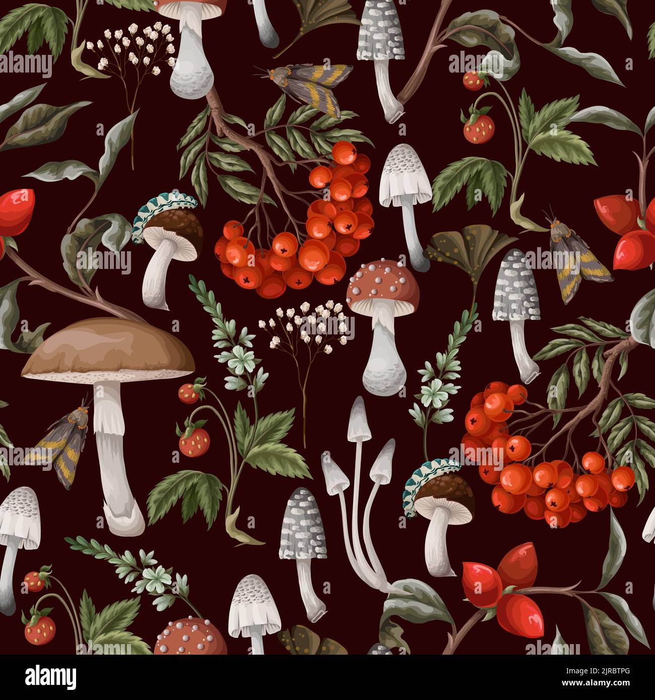 Herbst nahtloses Muster mit Pilzen, Beeren und Pflanzen. Botanischer Vektor. Stock Vektor