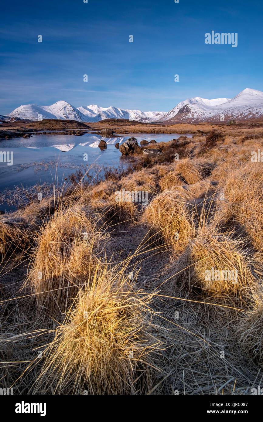 Hochland von Schottland Stockfoto