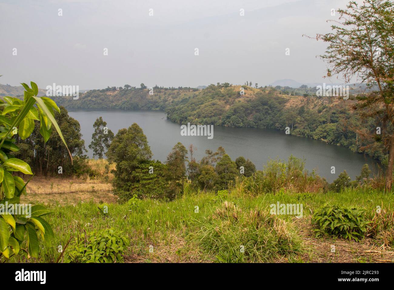 Das Lake Nkuruba Nature Reserve wurde 1991 gegründet, um den uralten Waldlebensraum, der den vulkanischen Krater umgibt, zu schützen Stockfoto