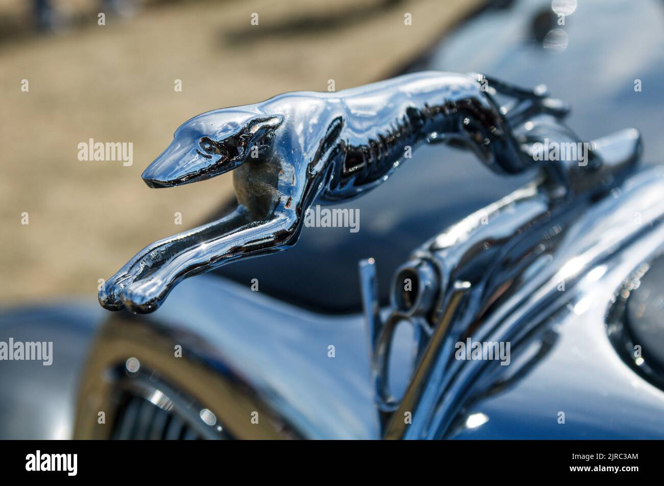 1935 Ford V8 Motorhaube Maskottchen. Stockfoto