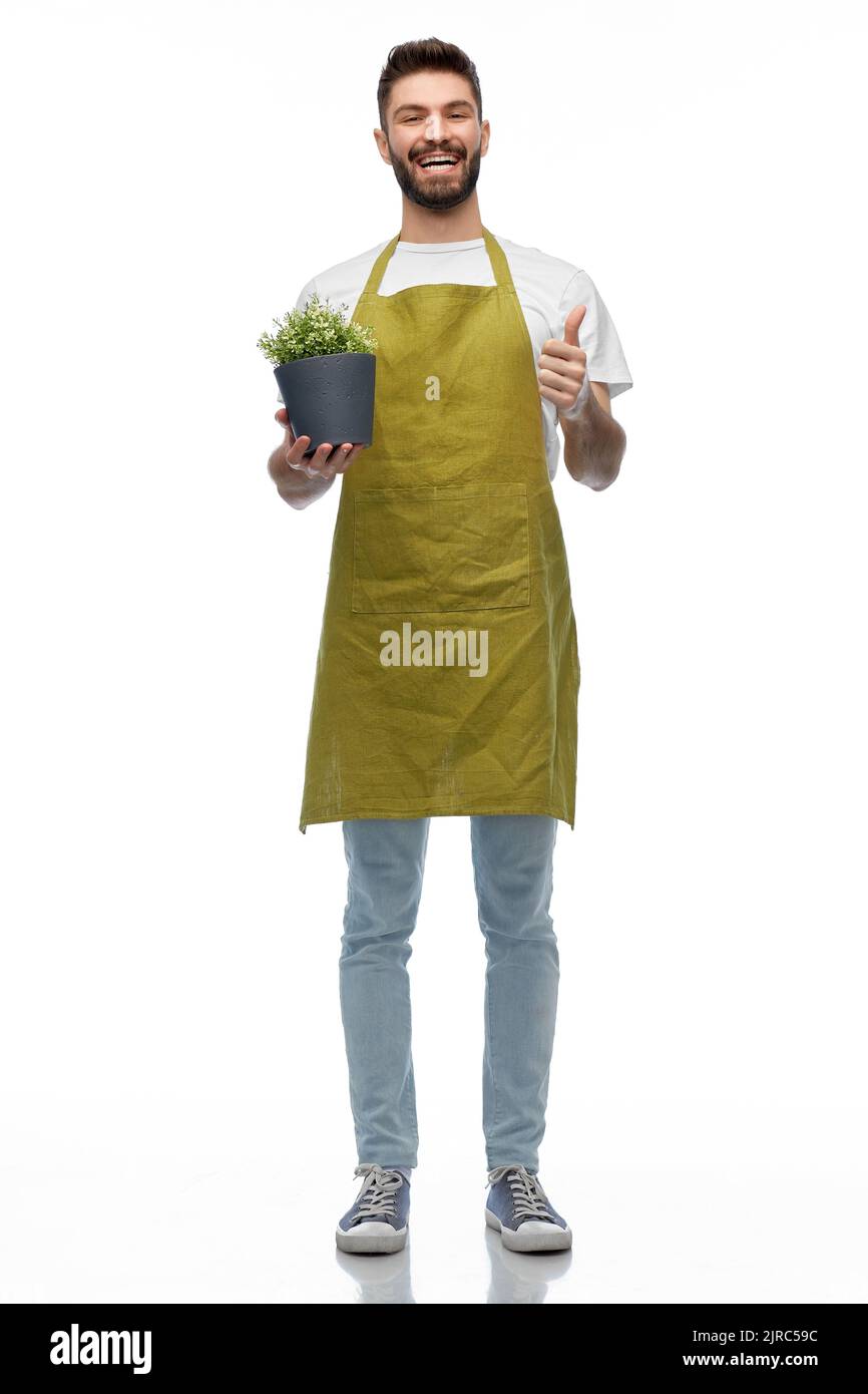 Glücklicher männlicher Gärtner mit Blumen, die Daumen nach oben zeigen
