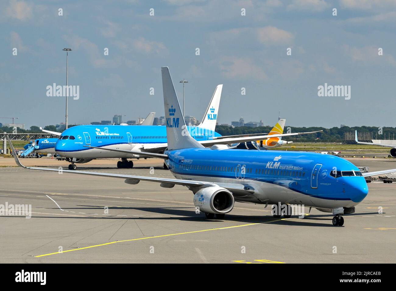 Flughafen Amsterdam Ankunft Laut Aktuellem Flugplan www.alamy.de
