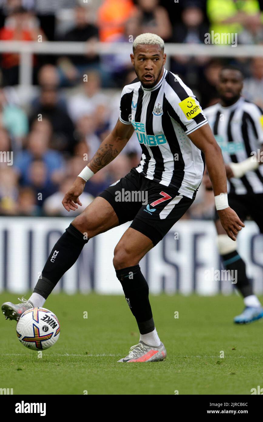 JOELINTON, NEWCASTLE UNITED FC, 2022 Stockfoto