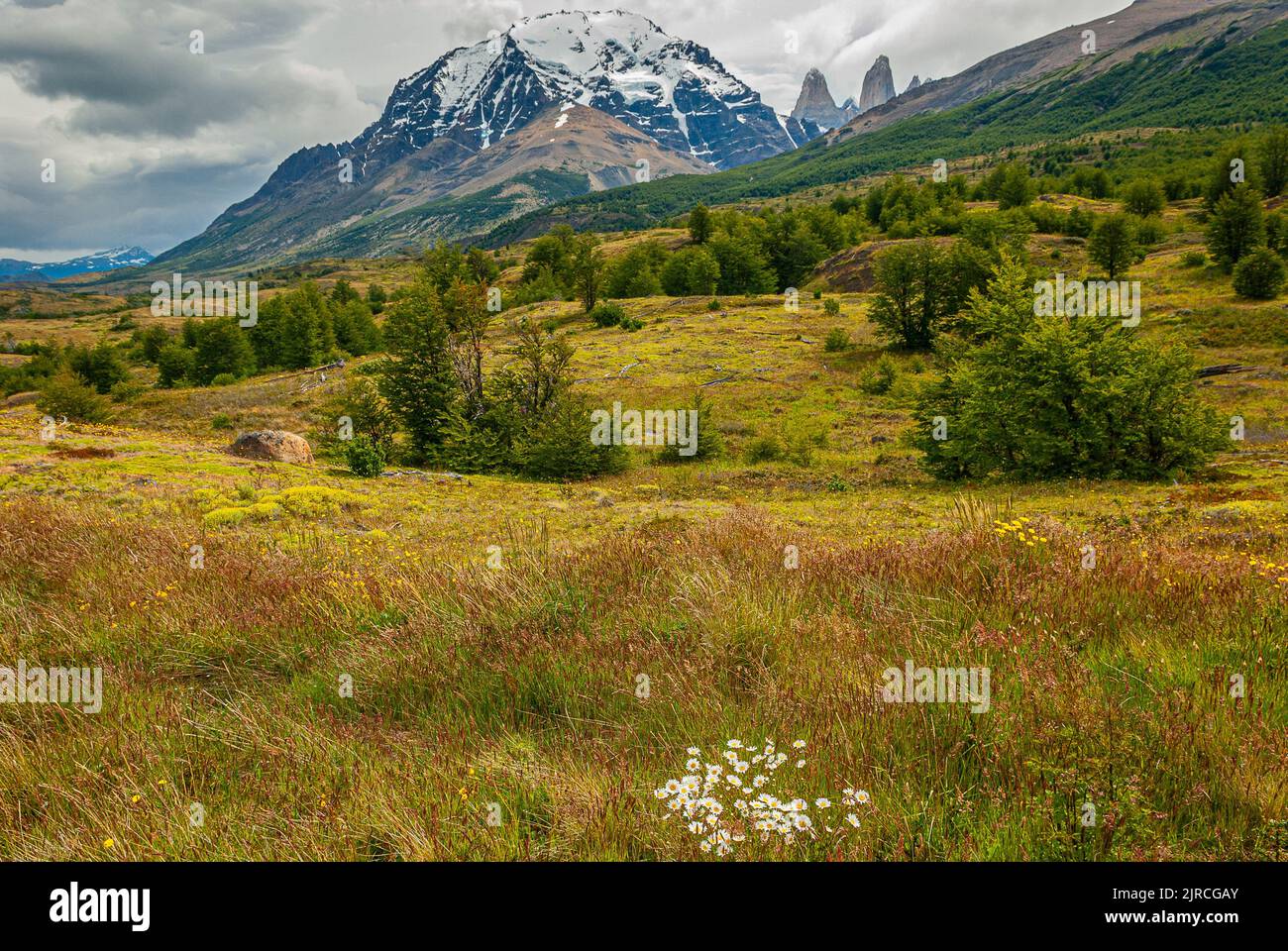 Naturlandschaft im Torres del Paine Park mit Blick auf die Berge, chilenisches Patagonien Stockfoto