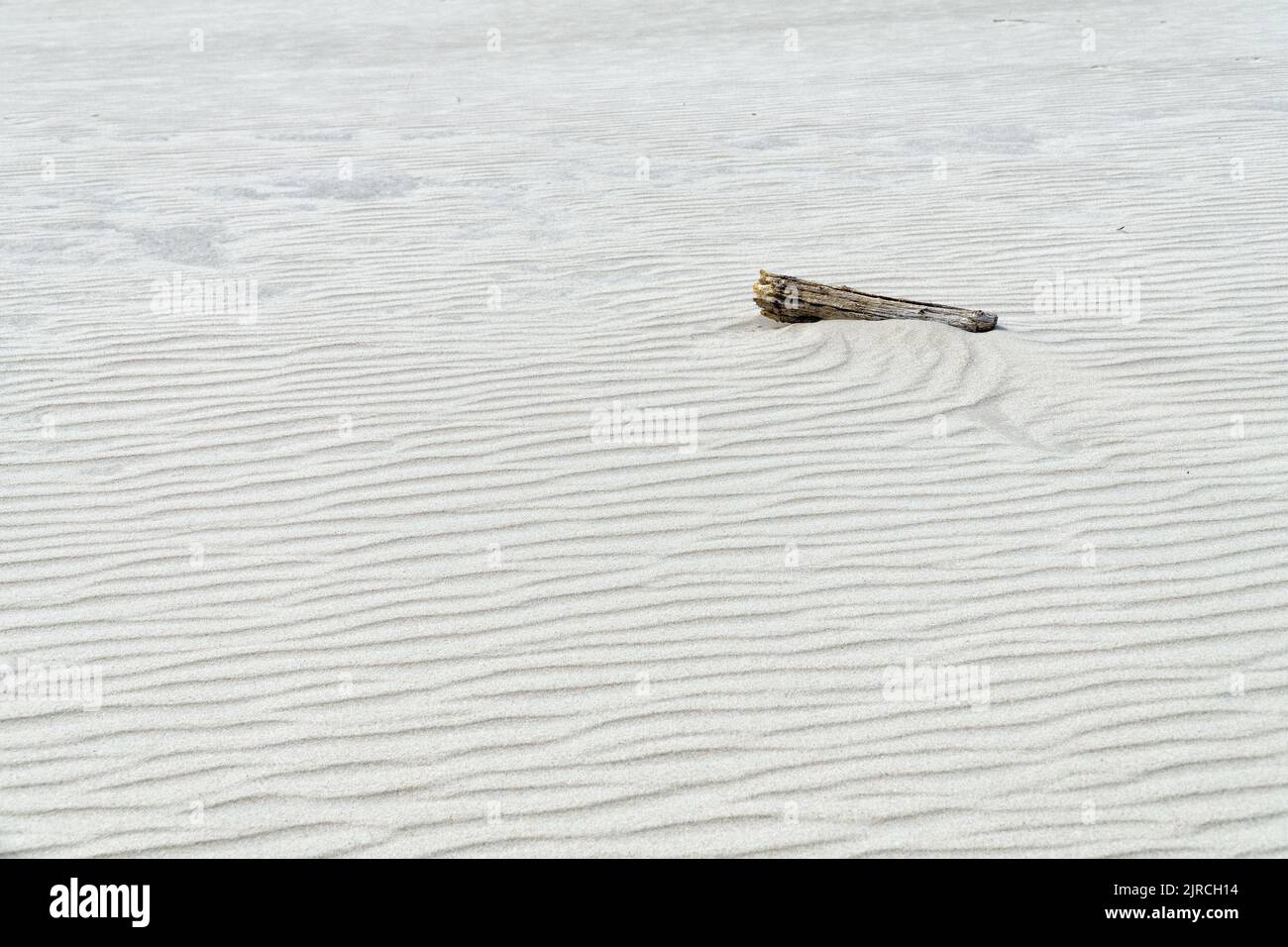 Baumstamm am Strand mit gewelltem weißen Sand. Natürlicher, abstrakter Hintergrund. Sandstruktur. Stockfoto