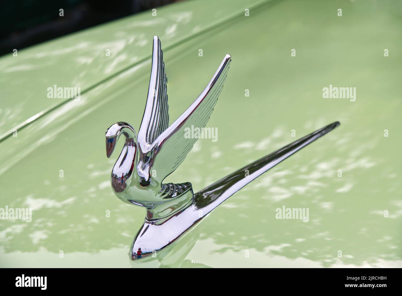 Die Schwanenhaube Ornament aus einem klassischen Packard Automobil. Stockfoto