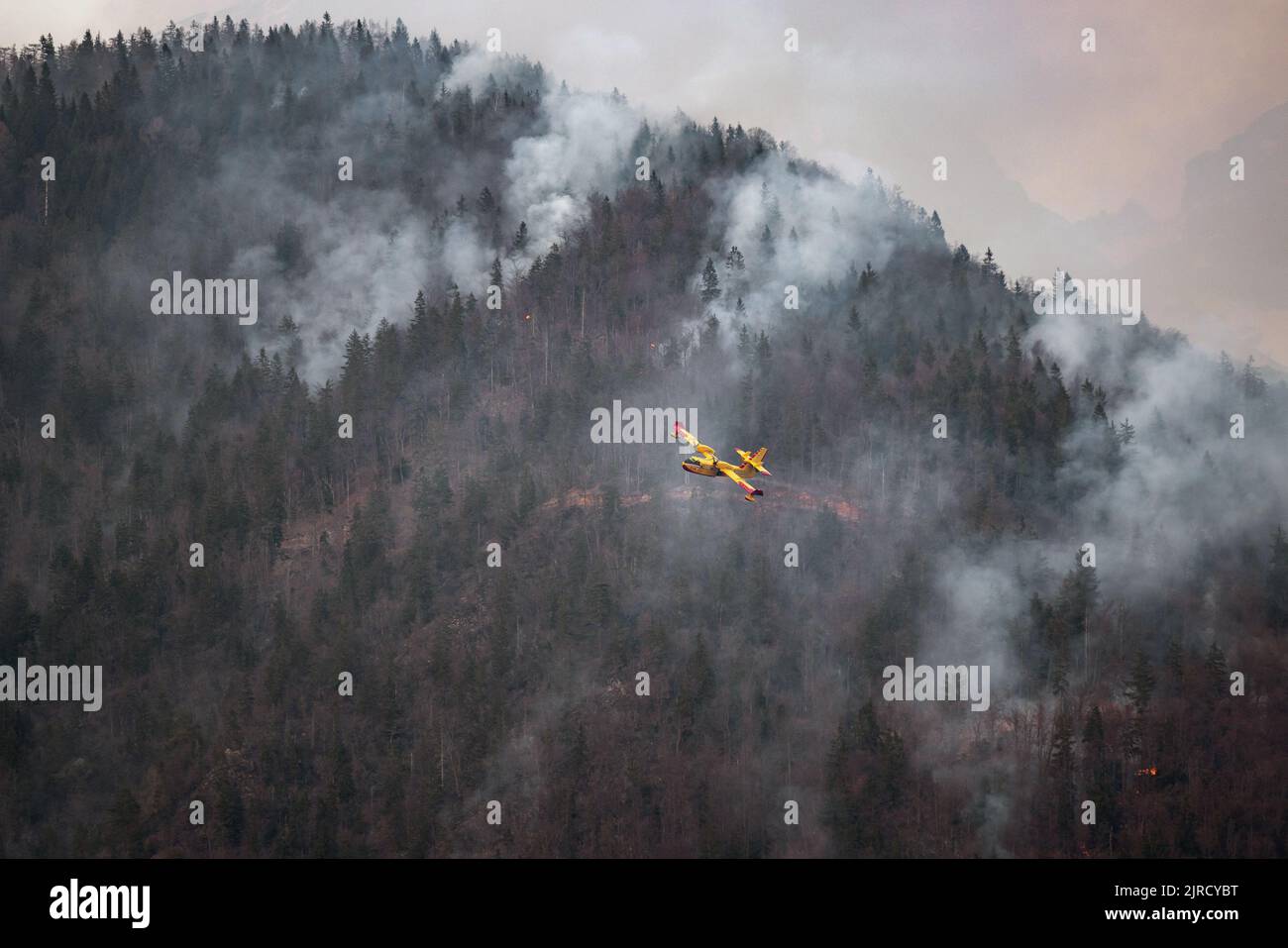 Feuerwehrflugzeug mit Wasser aus einem See, um Waldbrände zu löschen Stockfoto