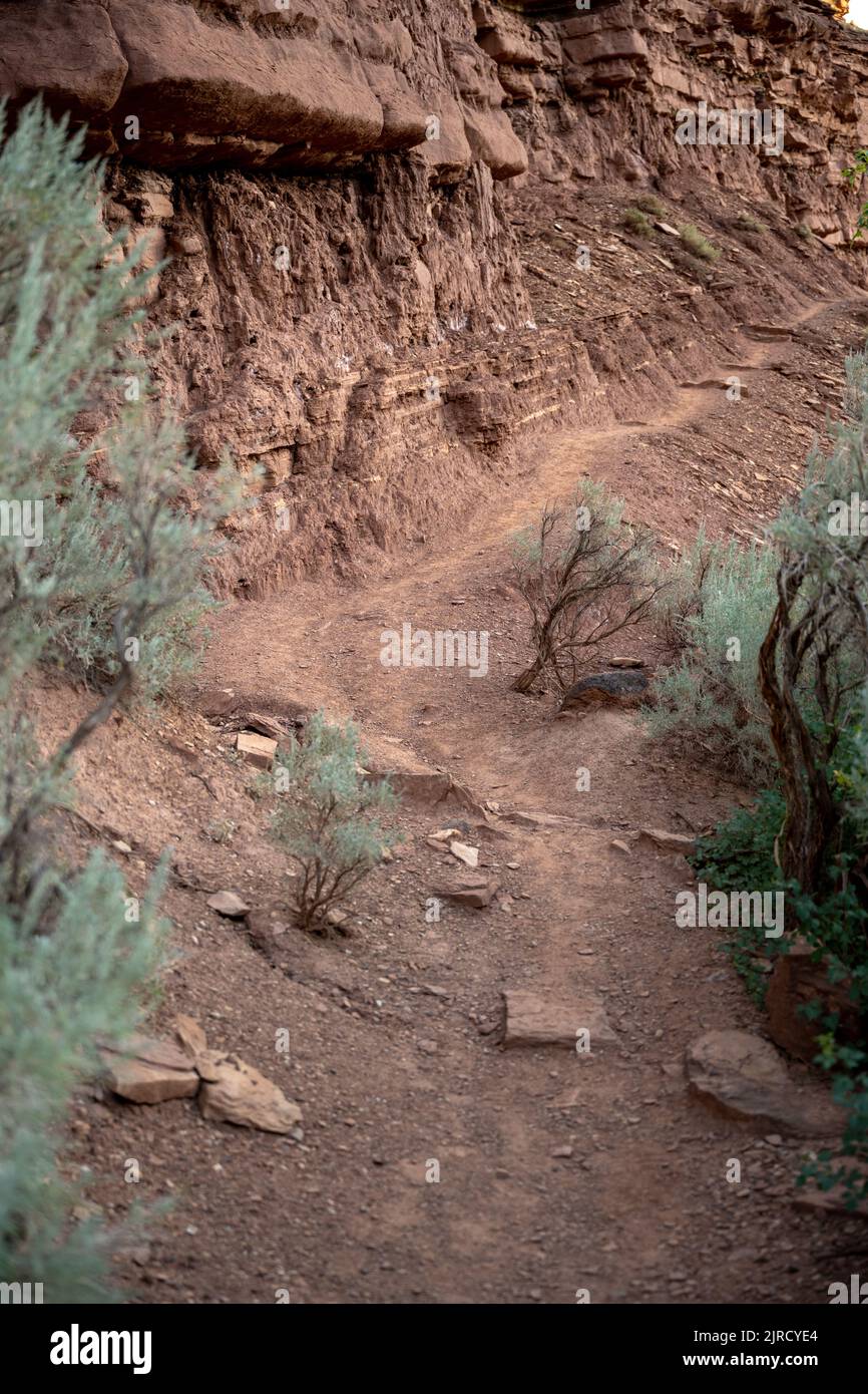 Der Faint Trail führt entlang der Rocky Desert Cliff im Capitol Reef National Park Stockfoto