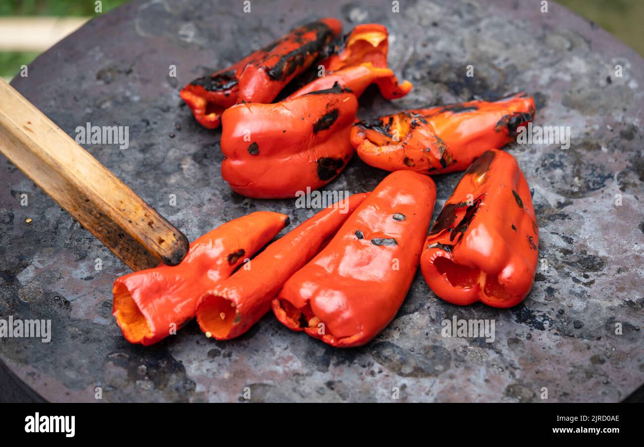 Röstung von Paprika für Wintervorräte rote Bio-Paprika Grill auf dem ...