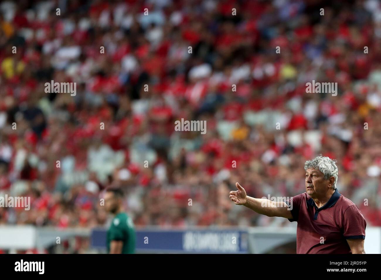 Lissabon. 23. August 2022. Der Cheftrainer von Dynamo Kiew, Mircea Lucescu, ist am 23. August 2022 während des UEFA Champions League-Play-off-Fußballspiels zwischen Benfica und Dynamo Kiew im Luz-Stadion in Lissabon, Portugal, mit Gesten unterwegs. Quelle: Pedro Fiuza/Xinhua/Alamy Live News Stockfoto