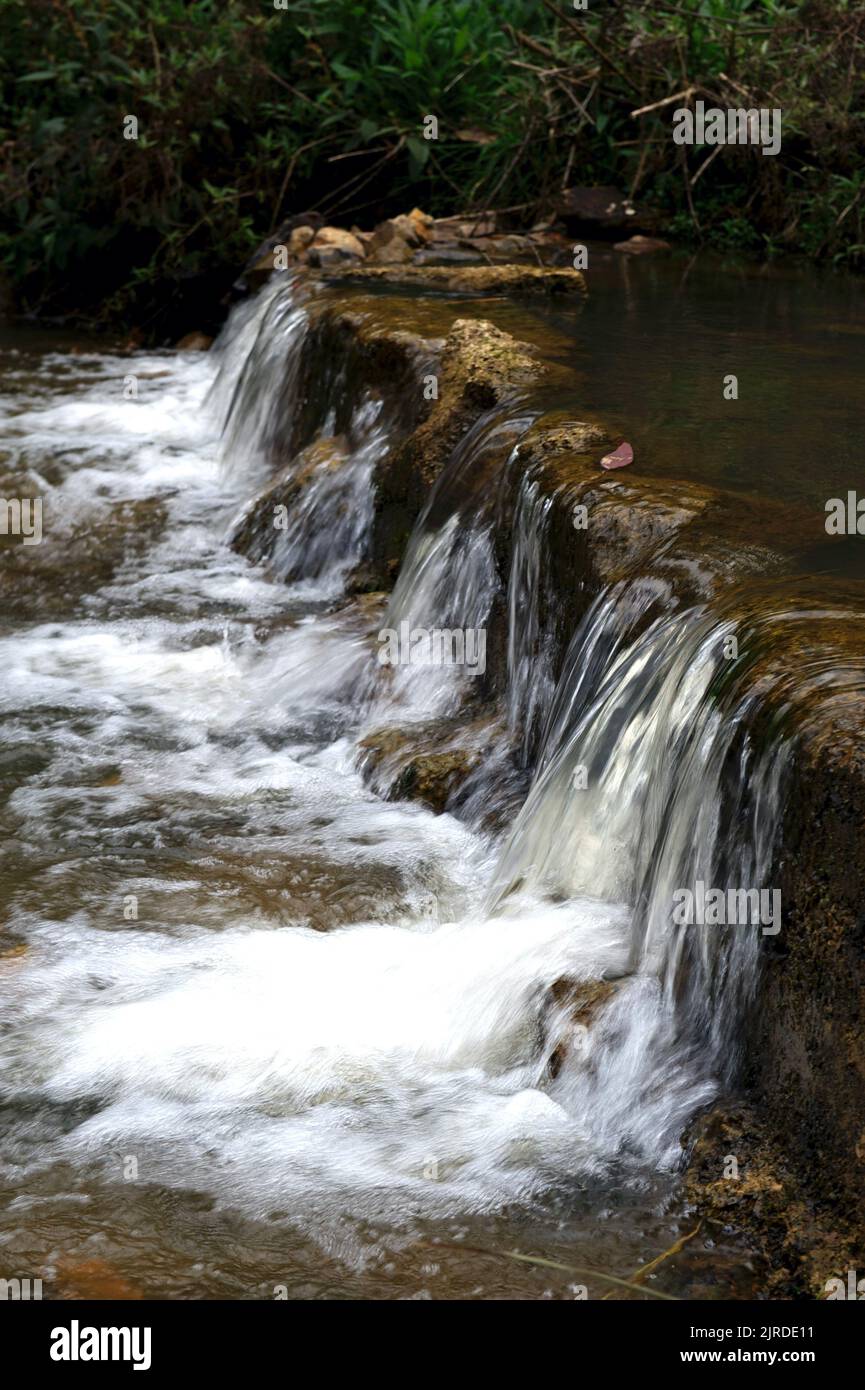 Masons Creek verläuft durch den Kinglake National Park in Victoria, Australien, und ist berühmt für die Masons Falls. Dieser kleine Wasserfall befindet sich unterhalb der Masons Falls. Stockfoto