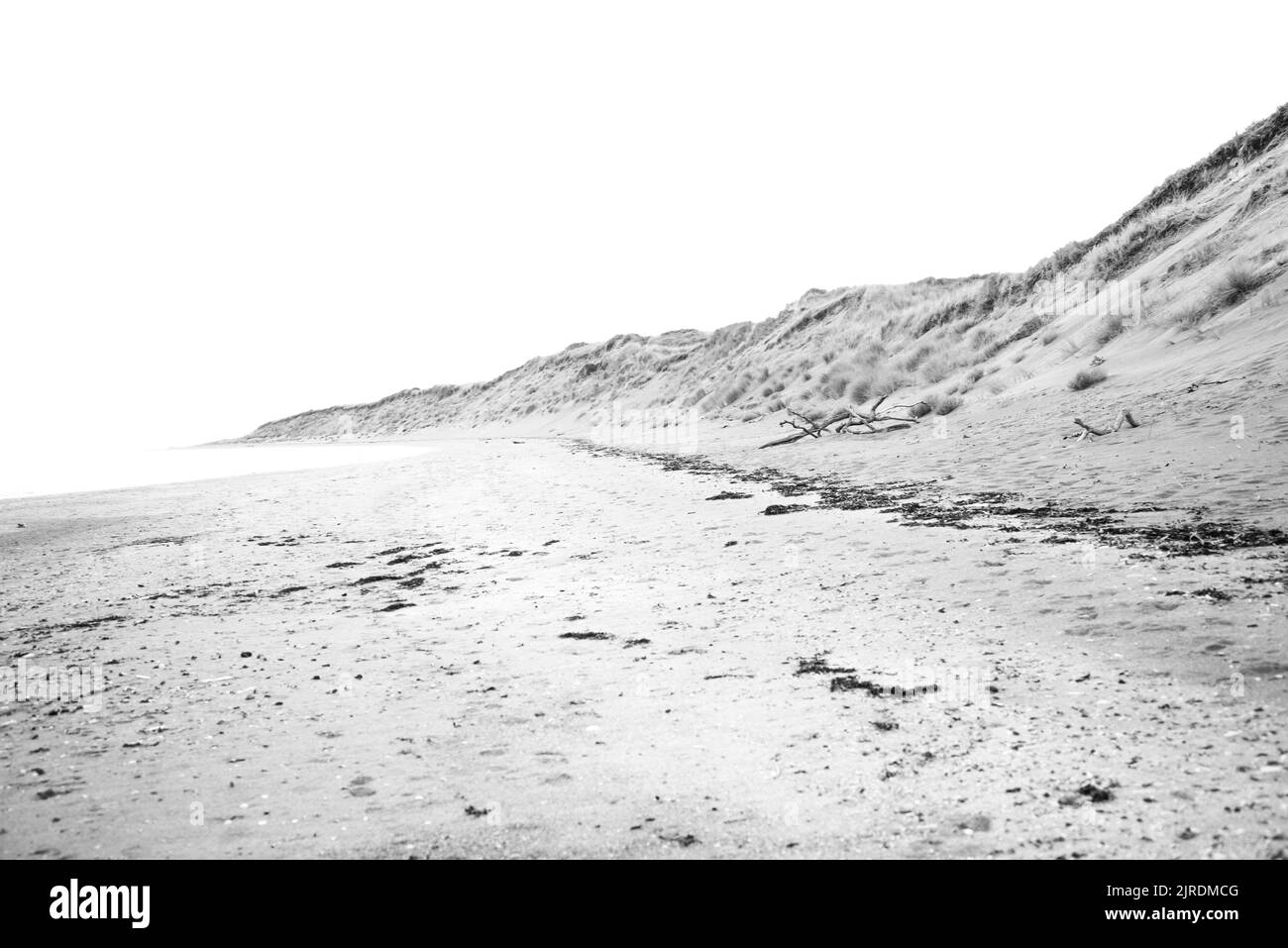 Leere Aussicht auf Sanddünen entlang eines breiten Strandes Stockfoto