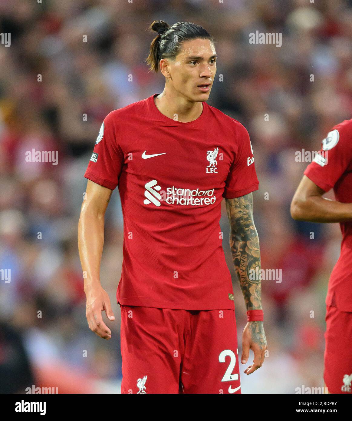 15 Aug 2022 - Liverpool gegen Crystal Palace - Premier League - Anfield Liverpools Darwin Nunez während des Spiels der Premier League in Anfield. Picture : Mark Pain / Alamy Live News Stockfoto