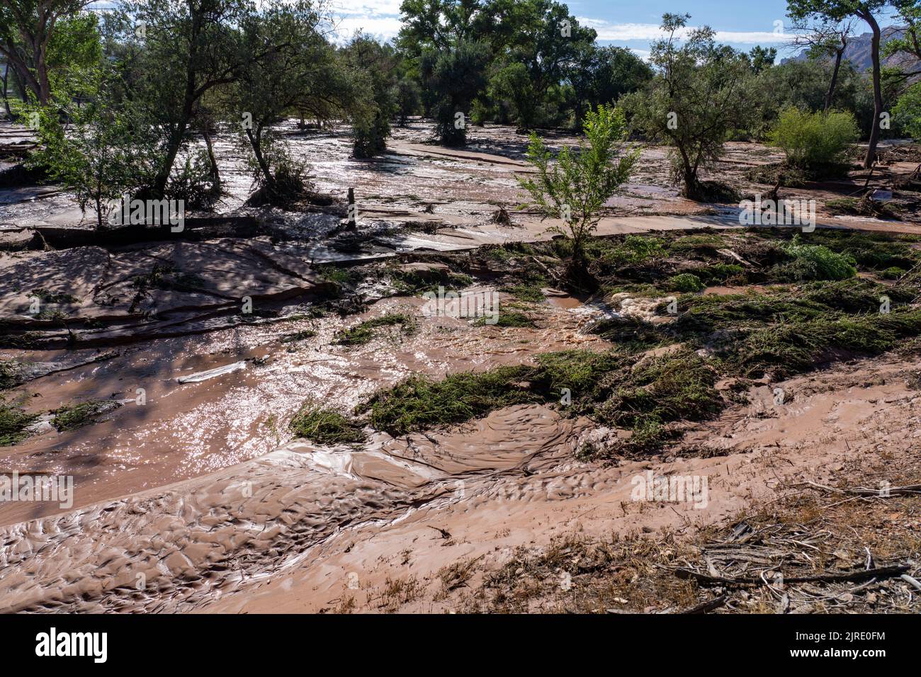 Am Tag nach einer Sturzflut in Moab, Utah, fließt immer noch das