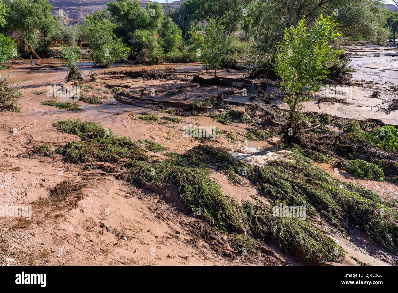 Am Tag nach einer Sturzflut in Moab, Utah, fließt immer noch das nachlassende Hochwasser über den überfluteten Mill Creek Parkway. Stockfoto