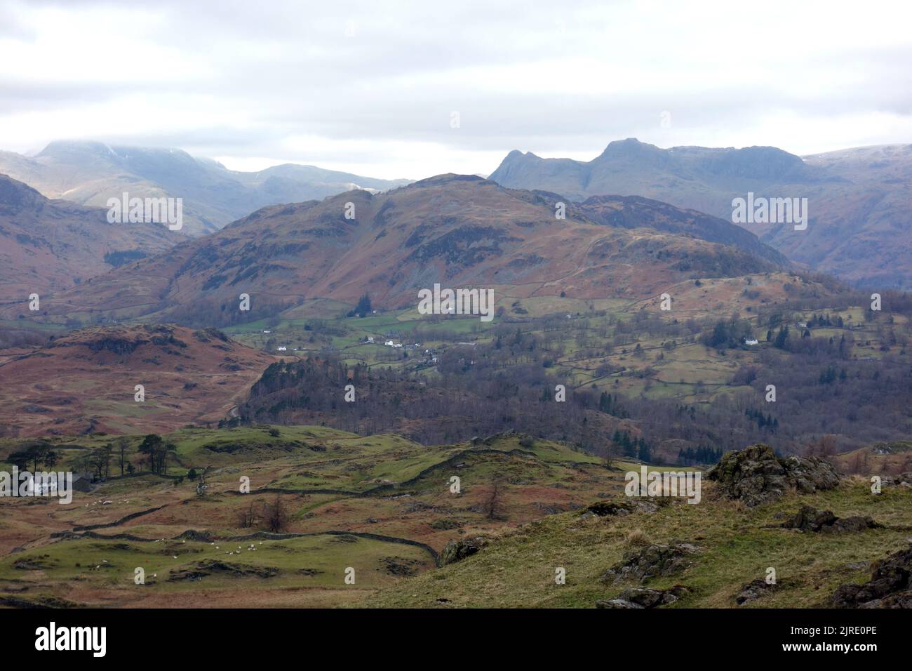 Der Wainwright 'Lingmoor Fell' und die Langdales aus der Nähe von 'Black Crag' der Gipfel 'Black Fell' von Tarn Hows, Lake District National Park. VEREINIGTES KÖNIGREICH. Stockfoto