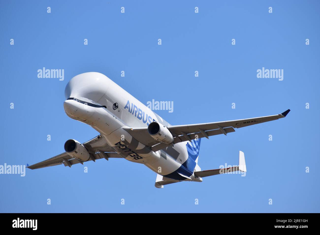 Airbus A330743L Beluga XL Transporter Stockfoto