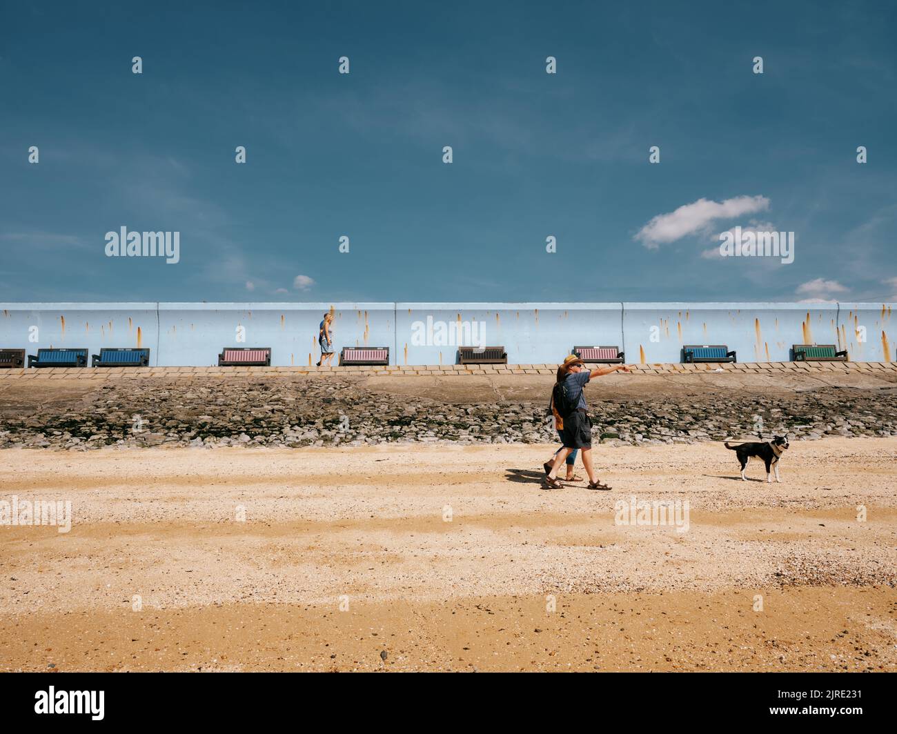 Spaziergang mit dem Hund an einem Sommertag am Strand von Canvey Island, Thames Estuary, Essex, England Stockfoto