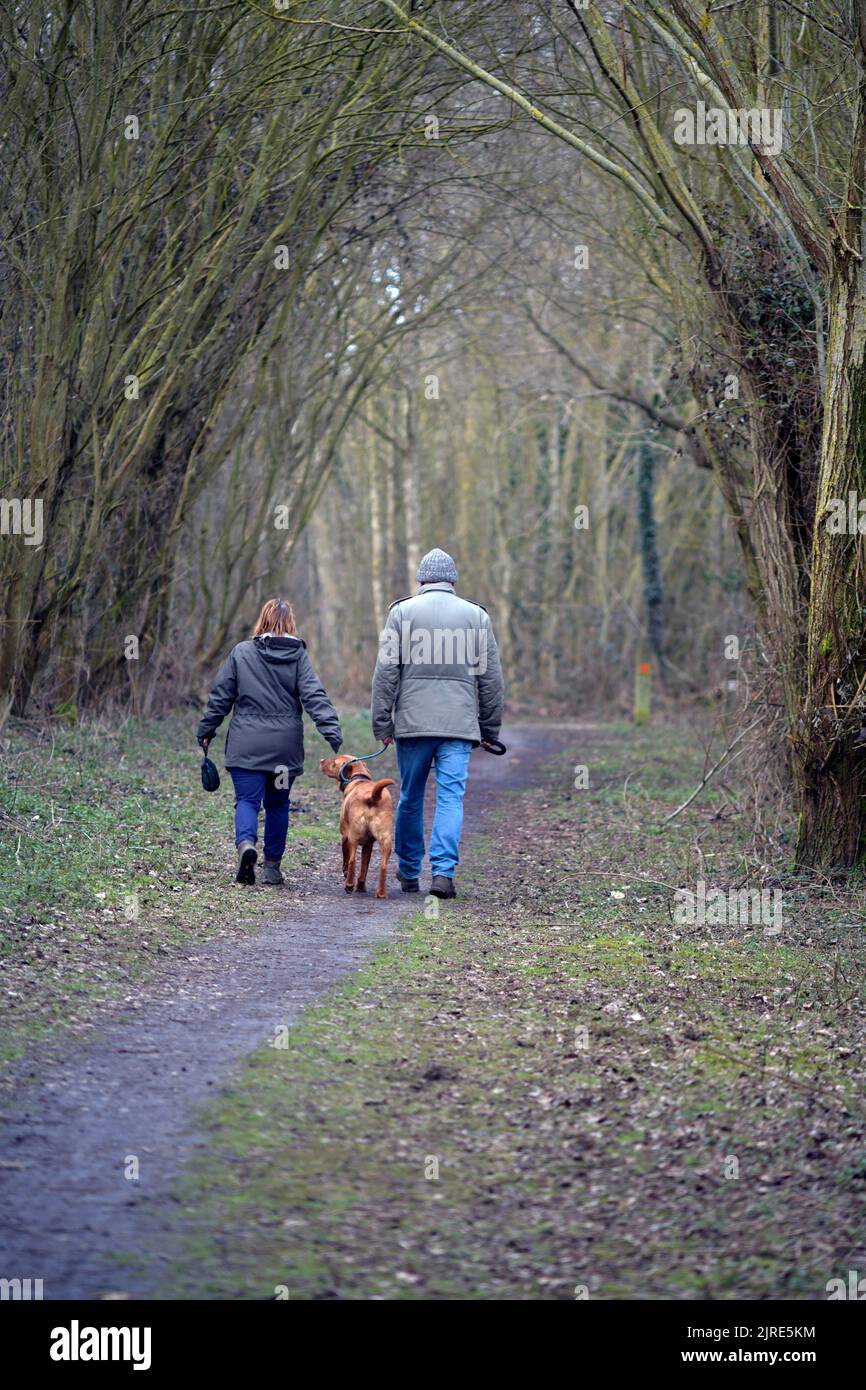 Mann, Frau und Hund auf dem Waldweg broome norfolk england Stockfoto