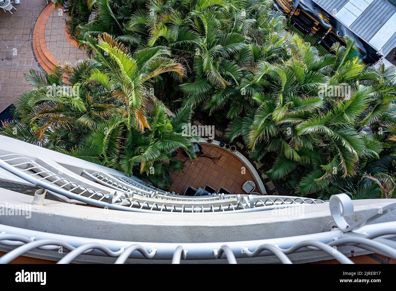 Von einem Balkon aus blickt man auf den Palmenvorgarten Stockfoto