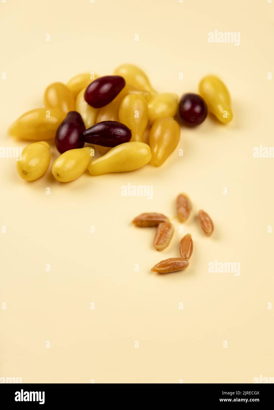 Gelb und rot Cornelian Kirsche Dogwood oder Cornus Mas beries. Gesunde Low Carb Beere. Pulpige, süße und saure Früchte. Selektiver Fokus. Stockfoto