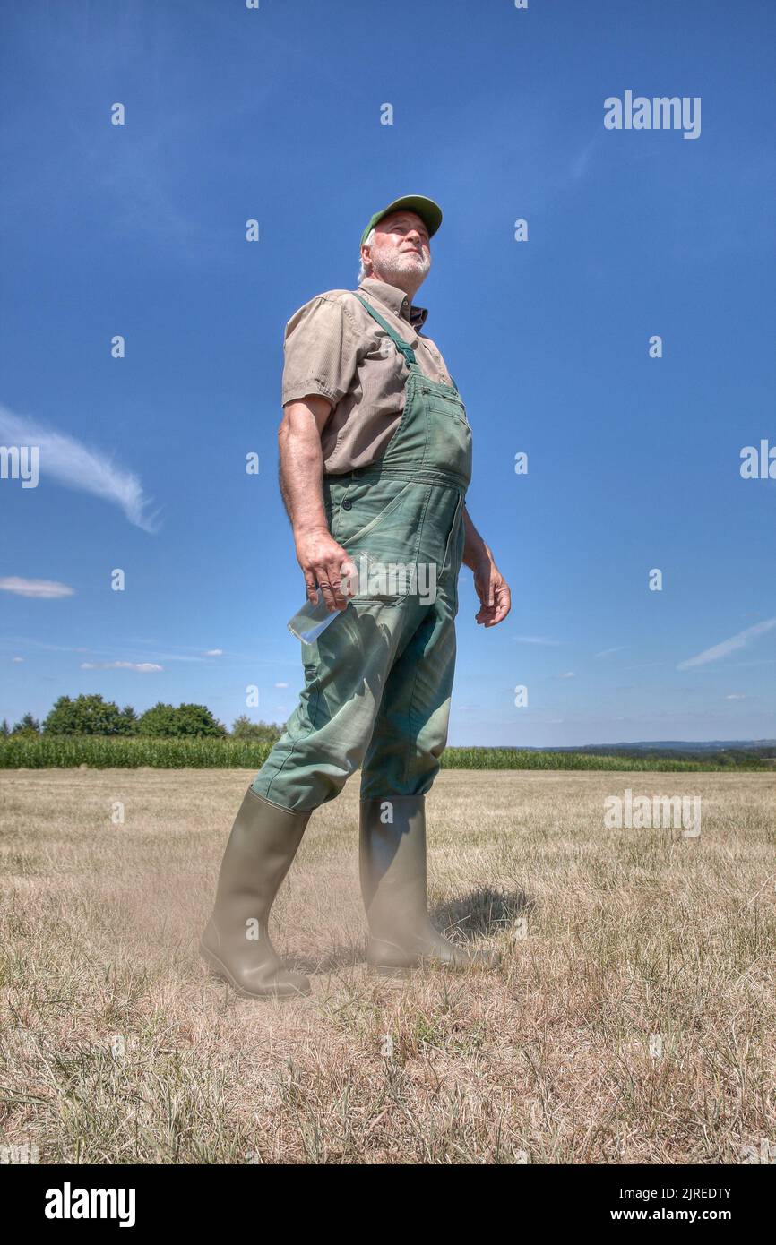 Ein Bauer geht über seine knochentrockener Wiese und blickt besorgt zum Himmel. Stockfoto