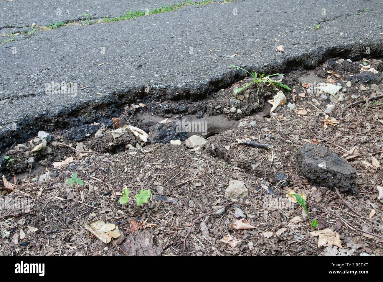 Die anhaltende Dürre, die durch den Klimawandel verursacht wird, ist nicht nur in der Landwirtschaft spürbar, sondern führt auch zu einem Schrumpfen des Bodens und zu einem Verrutschen der Straßen. Stockfoto
