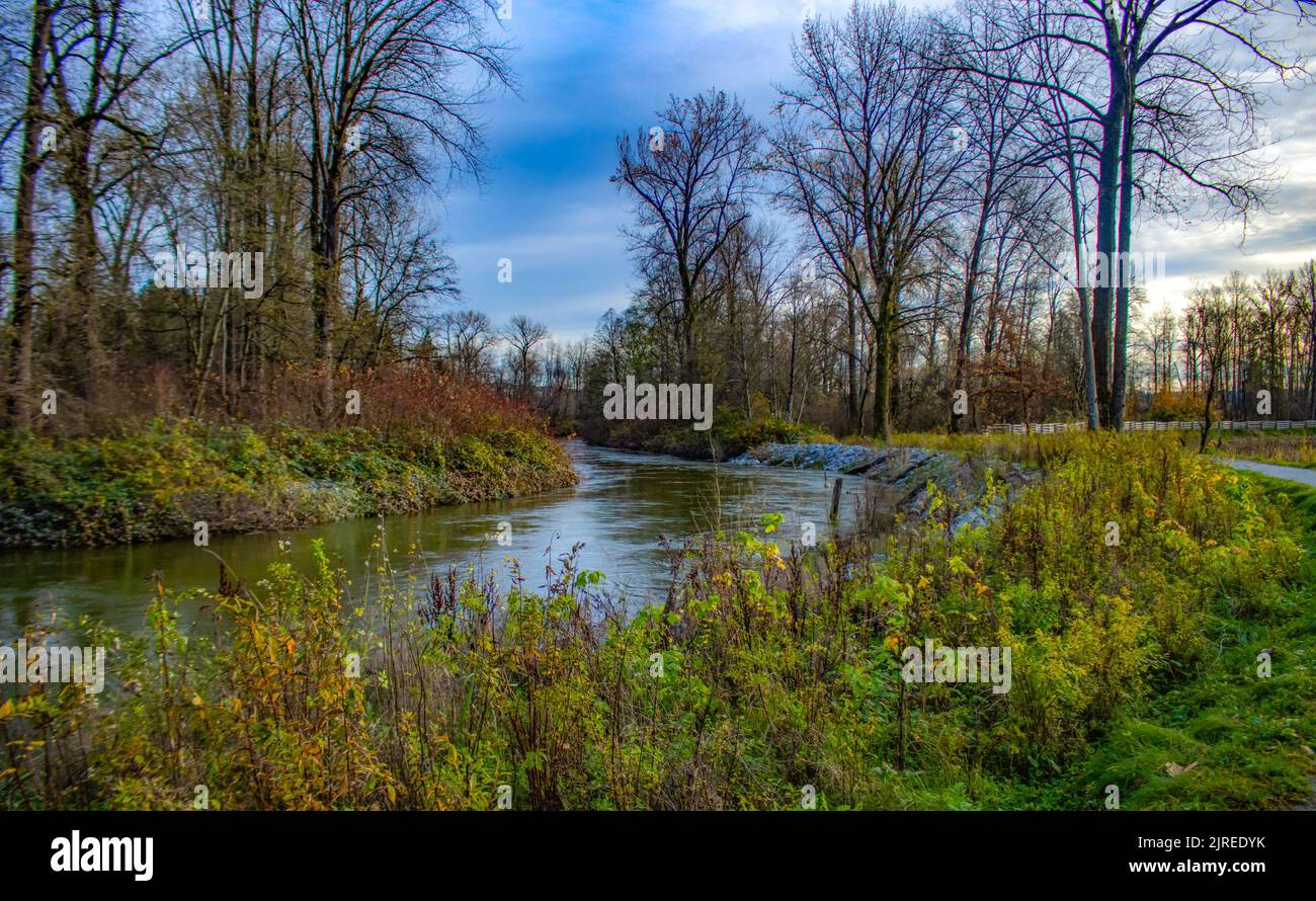 Blick auf Coquitlam Creek, umgeben von Herbstbäumen und Vegetation Stockfoto