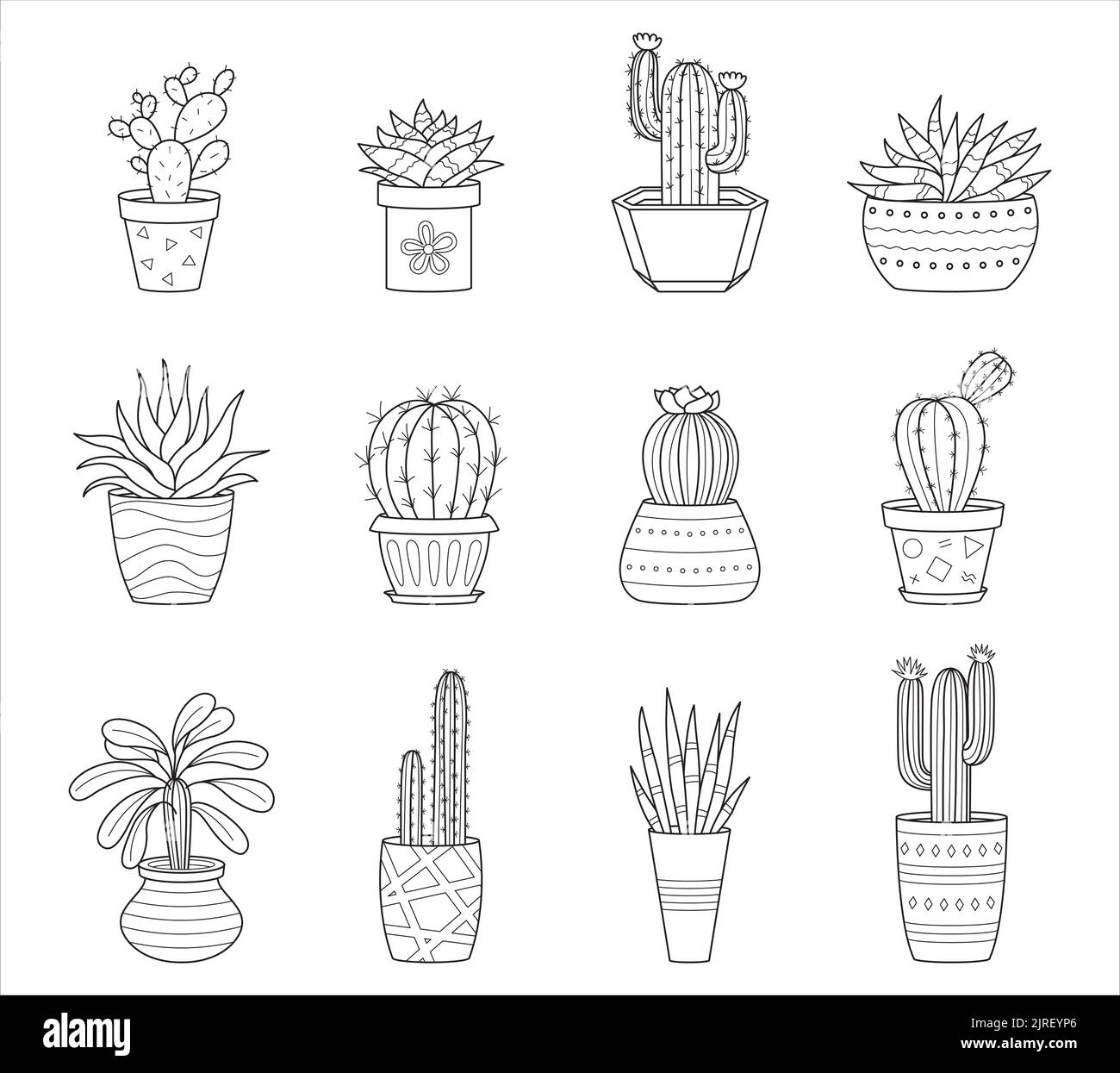 Set von umrissene Doodle Kaktus und Sukkulenten. Sammlung mit verschiedenen Arten von Kakteen und Heimpflanzen. Lineare Vektorgrafiken in Schwarzweiß iso Stock Vektor