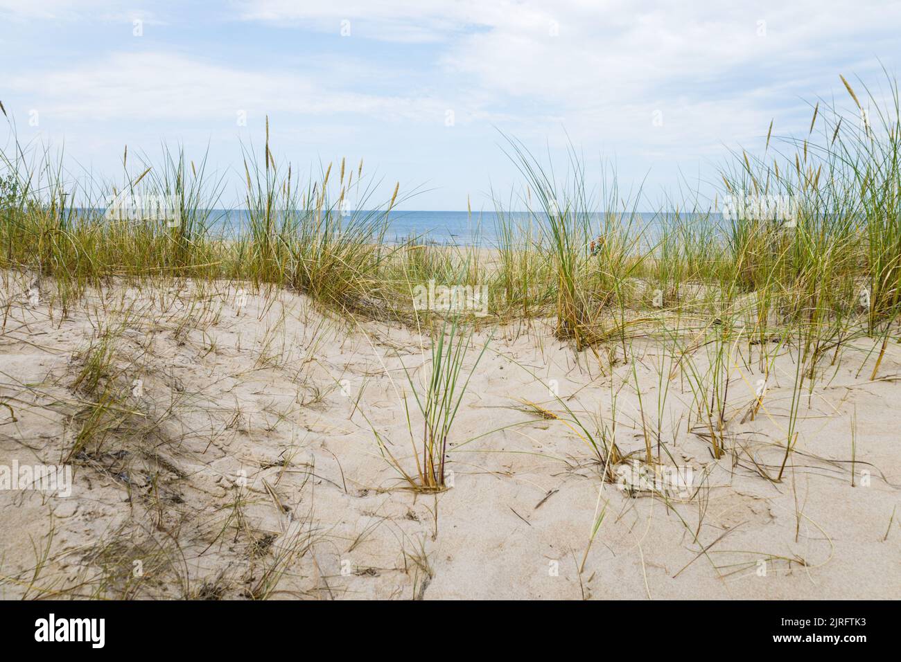 Sandstrand mit trockenem und gelbem Gras, Schilf, Stielen und blauem Ostsee Stockfoto