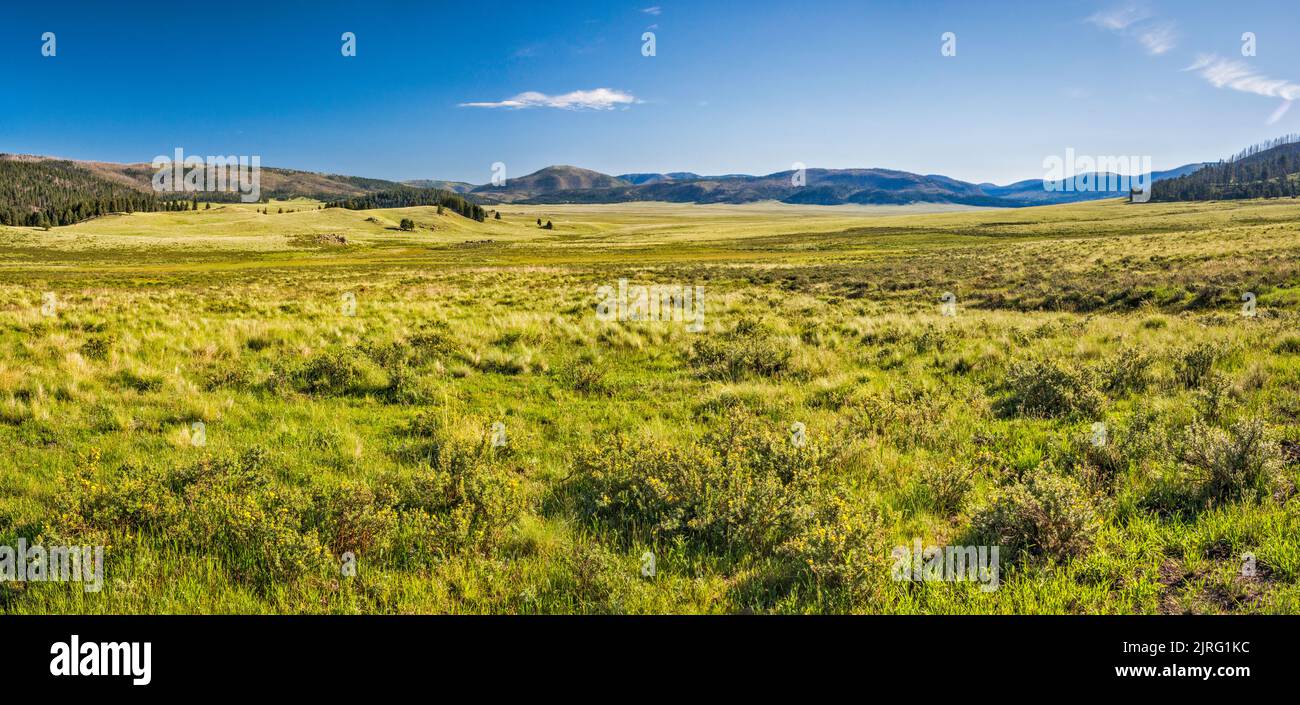 Bergiges Grasland in Valle Grande, am frühen Morgen, im Valles Caldera National Preserve, New Mexico, USA Stockfoto