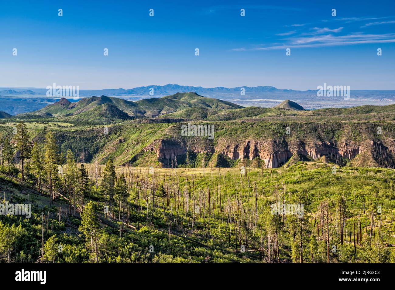 Cañon de los Frijoles, Saint Peters Dome Massiv dahinter, Jemez Mountains, Blick von der Straße NM-4 in der Nähe von Los Alamos, New Mexico, USA Stockfoto