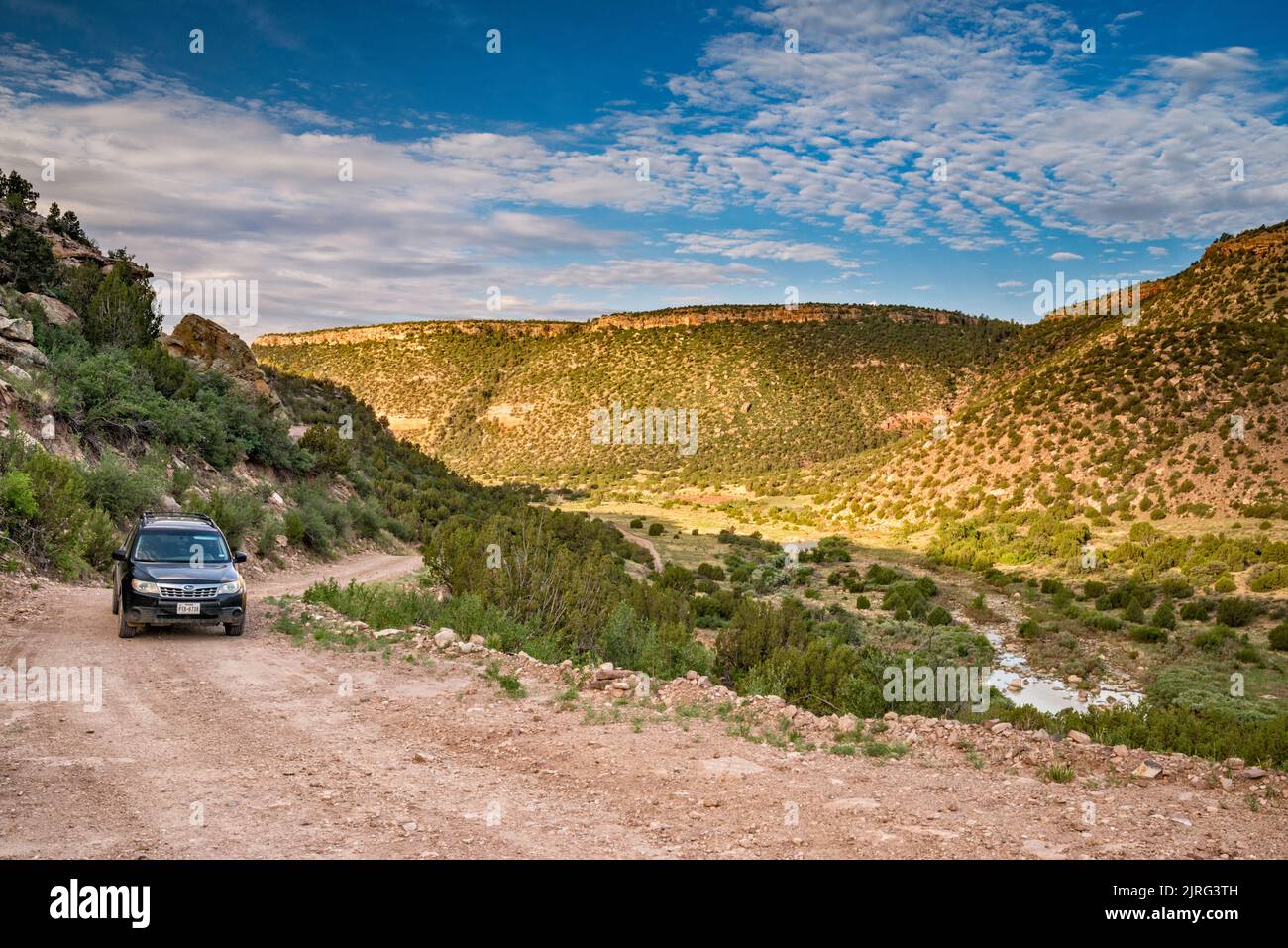 Fahrzeug auf der Mills Canyon Road, auf dem Canadian River Canyon alias Mills Canyon, Kiowa National Grassland, New Mexico, USA Stockfoto