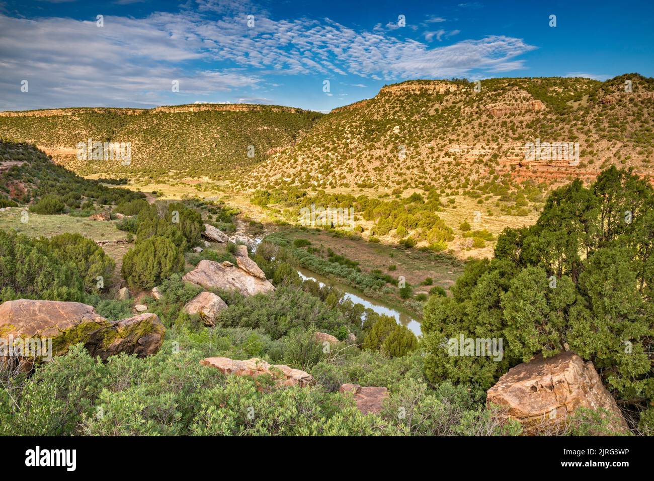 Sandsteinformationen, Orchard Area, erstellt 1881 von Melvin Mills, im Canadian River Canyon aka Mills Canyon, Kiowa National Grassland, New Mexico Stockfoto