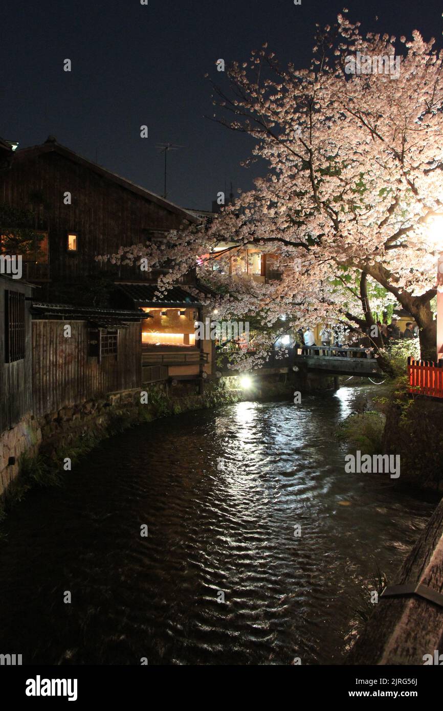 shirakawa Kanal und Häuser in kyoto in japan Stockfoto