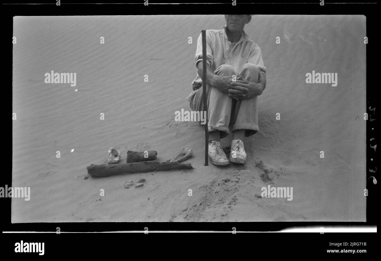 Große moa-Knochen und Muskelknöchelsteine, 27. Dezember 1936, von Leslie Adkin. Stockfoto