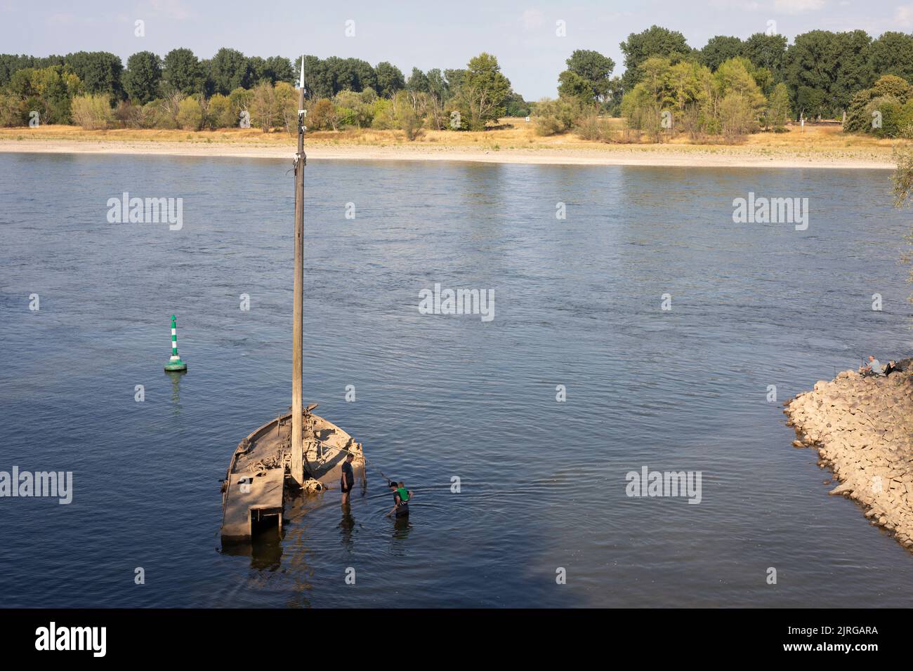 Versunkenes Schiff, das auf Grund des niedrigen Wasserstials am Rhein in Deutschland bei Neuss über Wasser auftaucht Stockfoto