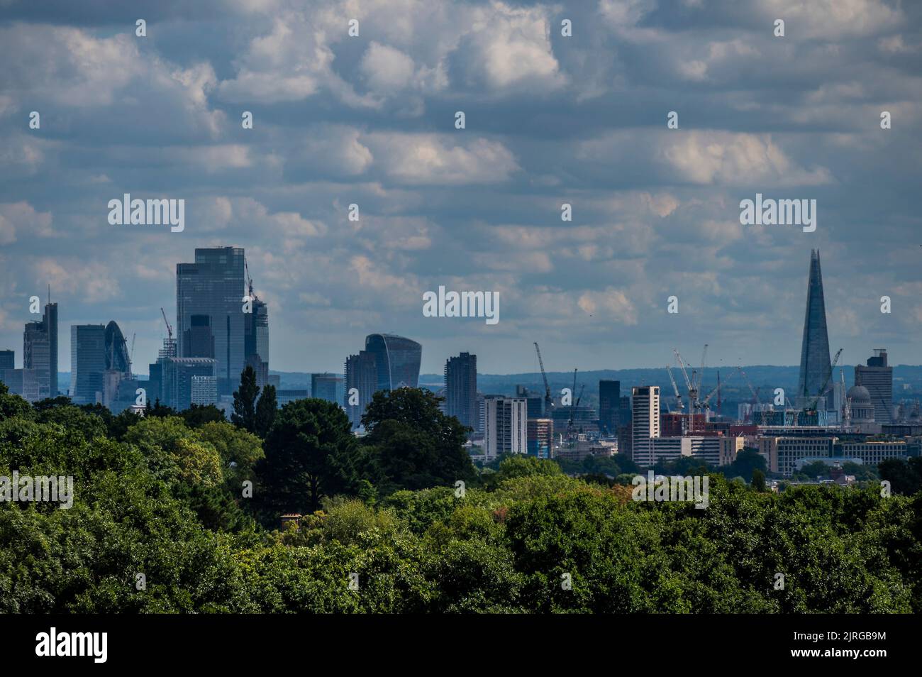 London, Großbritannien. 24. August 2022. Viele Bäume auf der Heath sind immer noch voll grün, trotz des heißen Wetters, das in der Wasserregion Themse zu einem Verbot von Schlauchleitungen führte.London, Großbritannien. 24 August 2022. Kredit: Guy Bell/Alamy Live Nachrichten Stockfoto