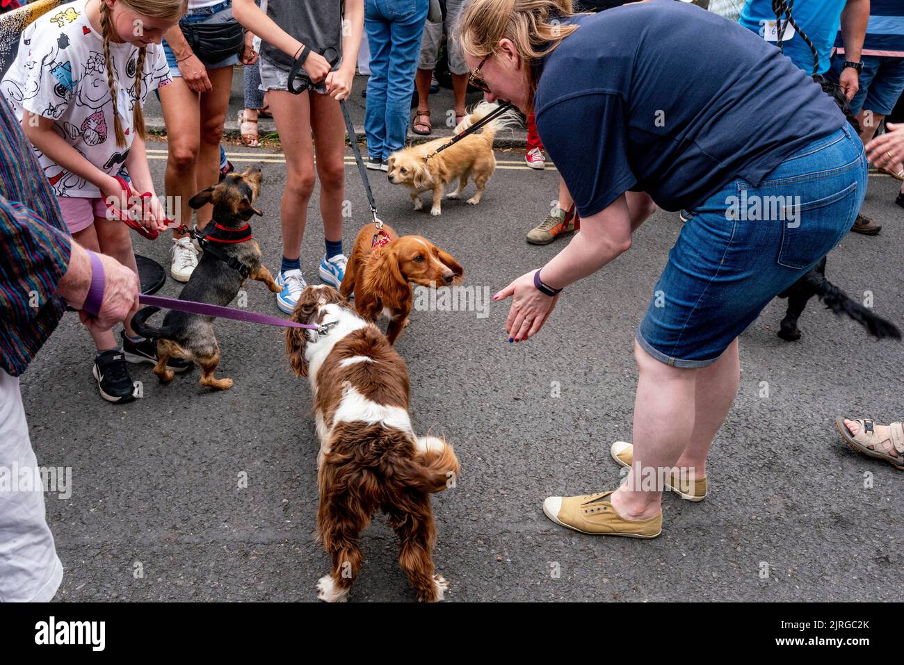 Die Menschen vor Ort nehmen an Einer Hundeausstellung am jährlichen Sporttag der South Street Bonfire Society, Lewes, East Sussex, Großbritannien, Teil. Stockfoto
