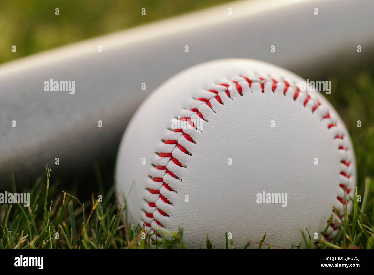 Weißer Lederball und Baseballschläger auf dem Gras, Nahaufnahme Stockfoto