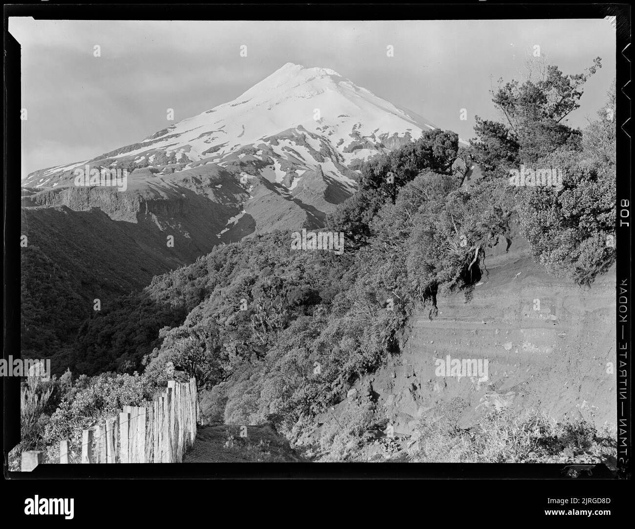 Mount Egmont, Ausflug nach New Plymouth, Oktober 1938, Taranaki, von J.W. Chapman-Taylor. Stockfoto