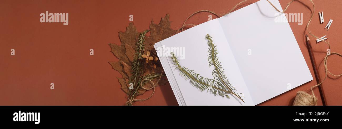 Getrocknetes gepresstes Blatt auf Papier aus Notizbuch mit Bleistift, Schere und Garn auf braunem Hintergrund. Hobby, Handarbeit, Blumenkunst und Boho-Konzept. Banner Stockfoto