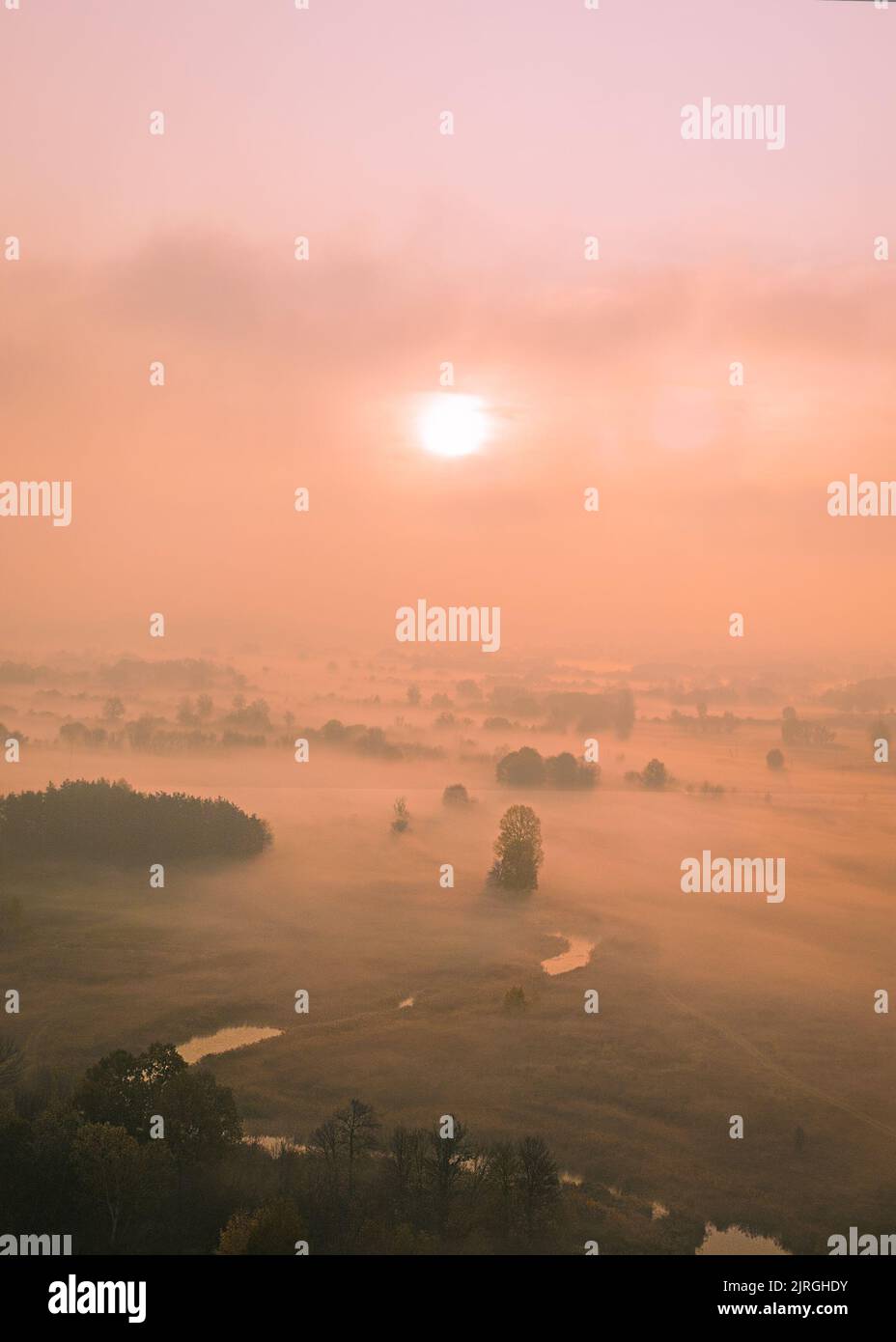 Atemberaubender Nebelmorgen auf einer Frühlingsstirne mit einem Fluss und einem Baum in der Ferne. Vertikale Drohne aus dem hohen Winkel geschossen. Nebel breitet sich über das Tal mit Bäumen aus. Stockfoto