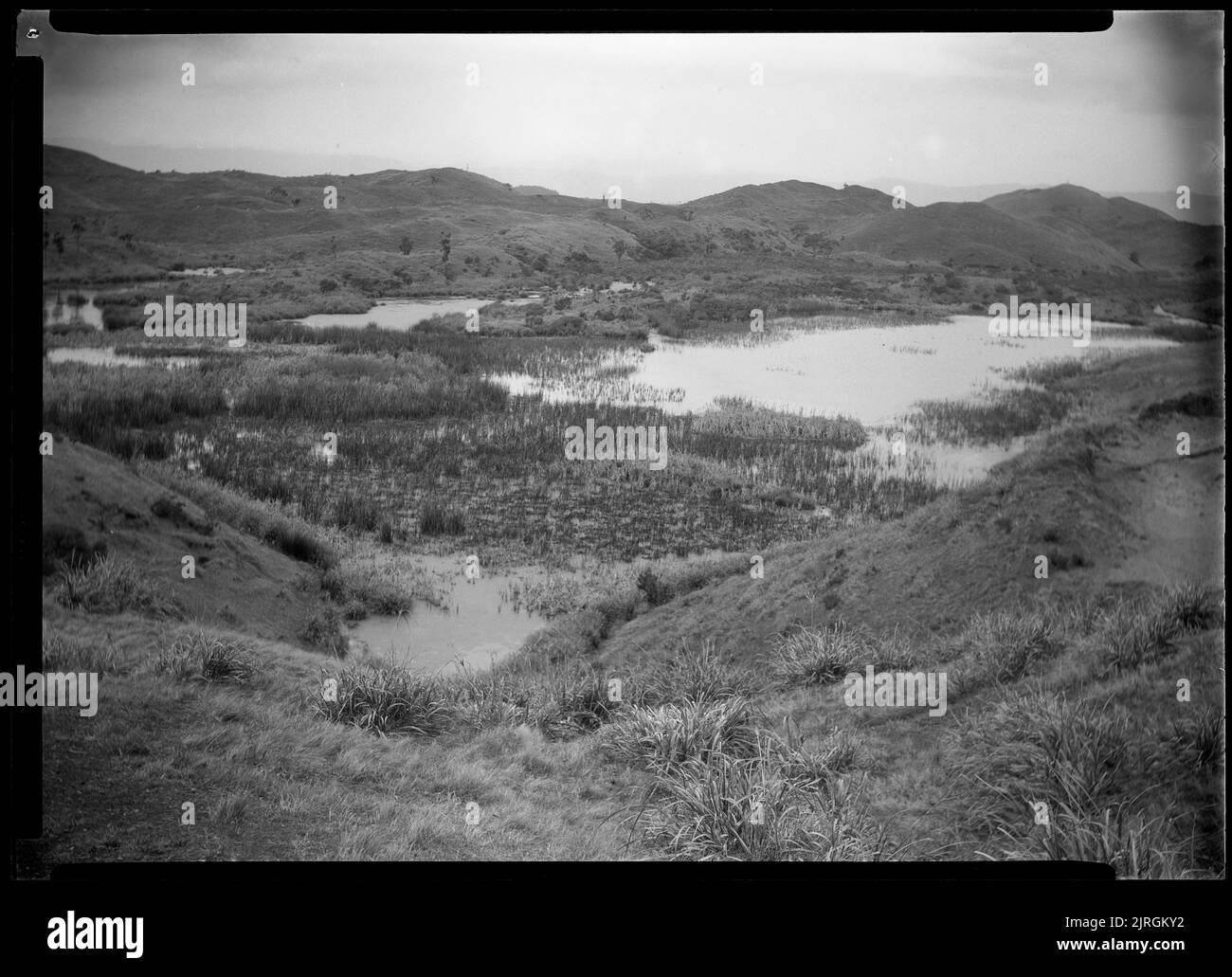 Lagunen bei Pakipaki Bush - 1929, 1929, von Leslie Adkin. Schenkung des Gutsbesitzes der Familie G. L. Adkin, 1964. Stockfoto