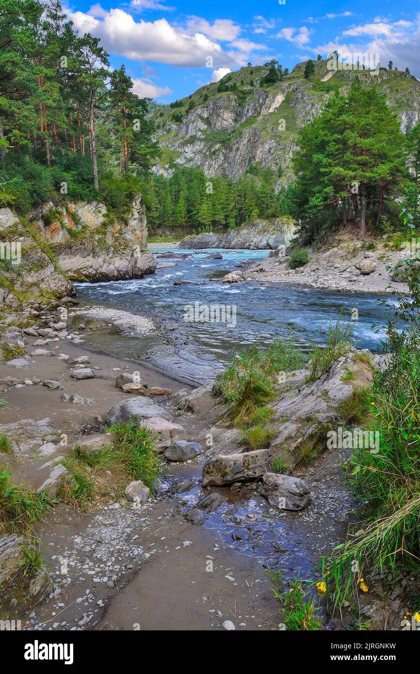 Zusammenfluss des Flusses Chemal in den Fluss Katun im Dorf Chemal, Altai-Gebirge, Sibirien, Russland. Schöne sonnige Sommerlandschaft - zwei schnelle Berge Stockfoto